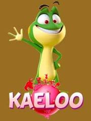 KAELOO