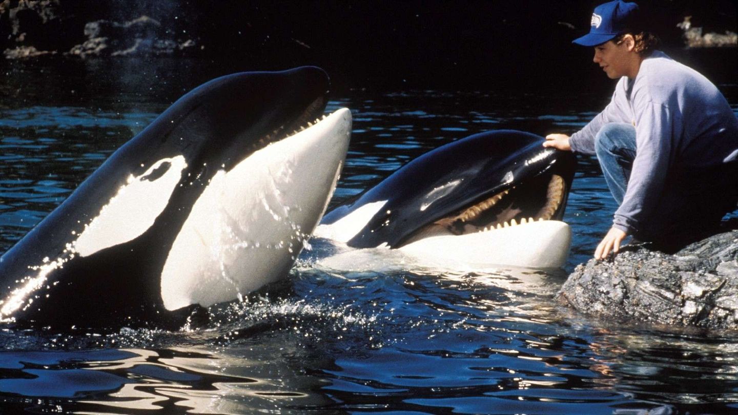 Free Willy 2