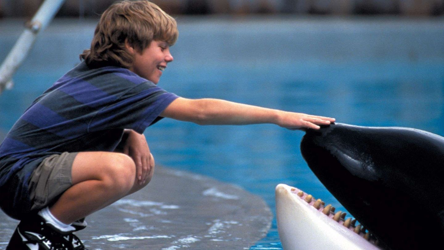Free Willy - Un amico da salvare
