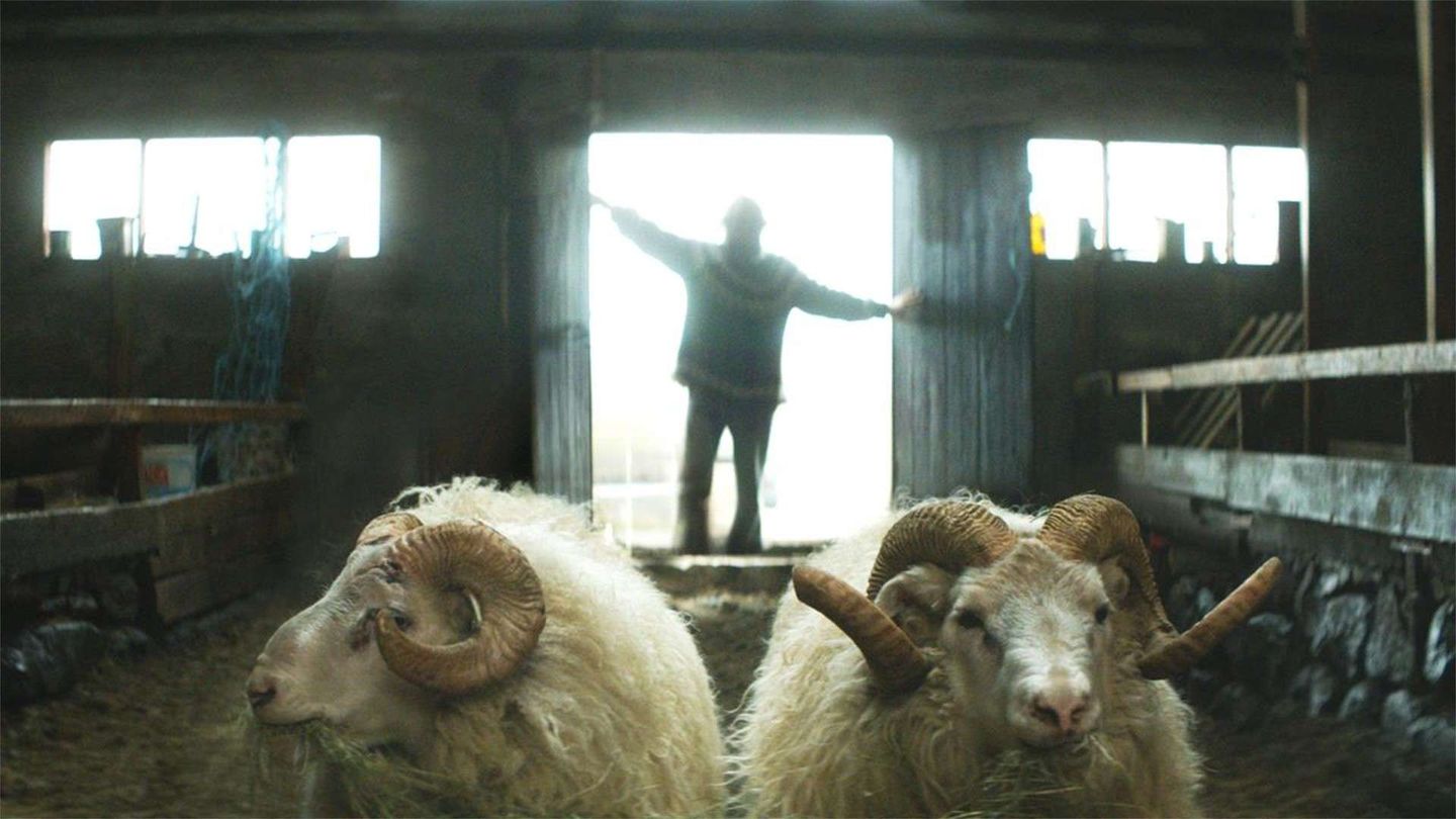 Rams - Storia di due fratelli e otto pecore