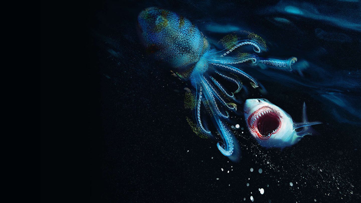 Squalo bianco vs. Kraken: la sfida