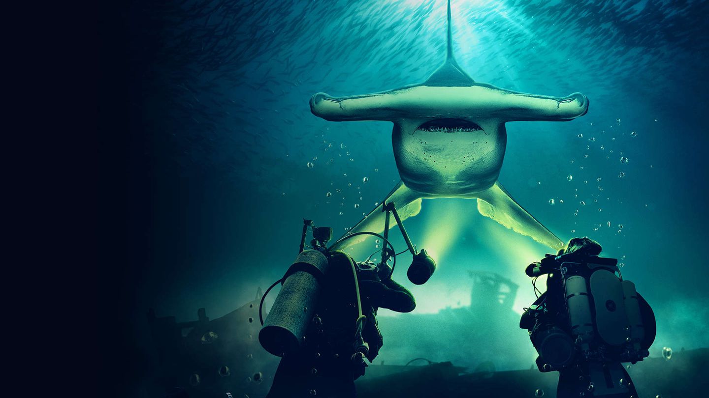 Il mistero dello squalo martello gigante