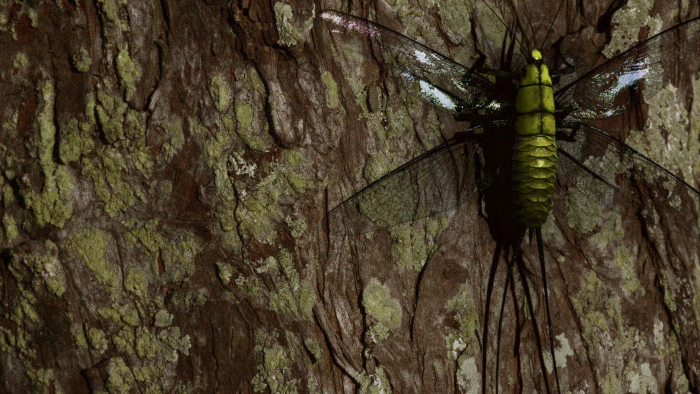 Preistoria - Quello che non sapevamo