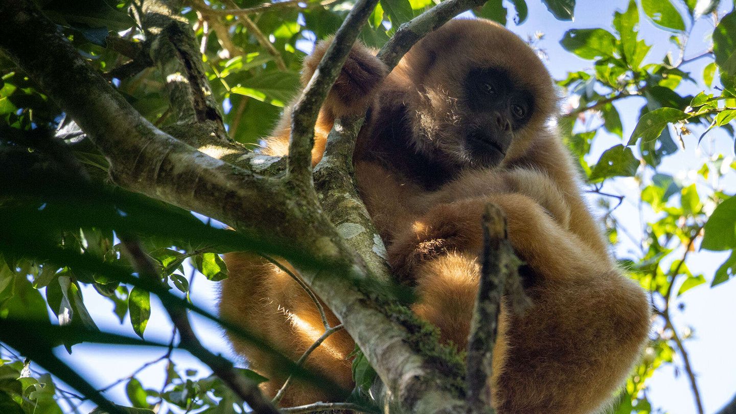 New kids in the wild 2