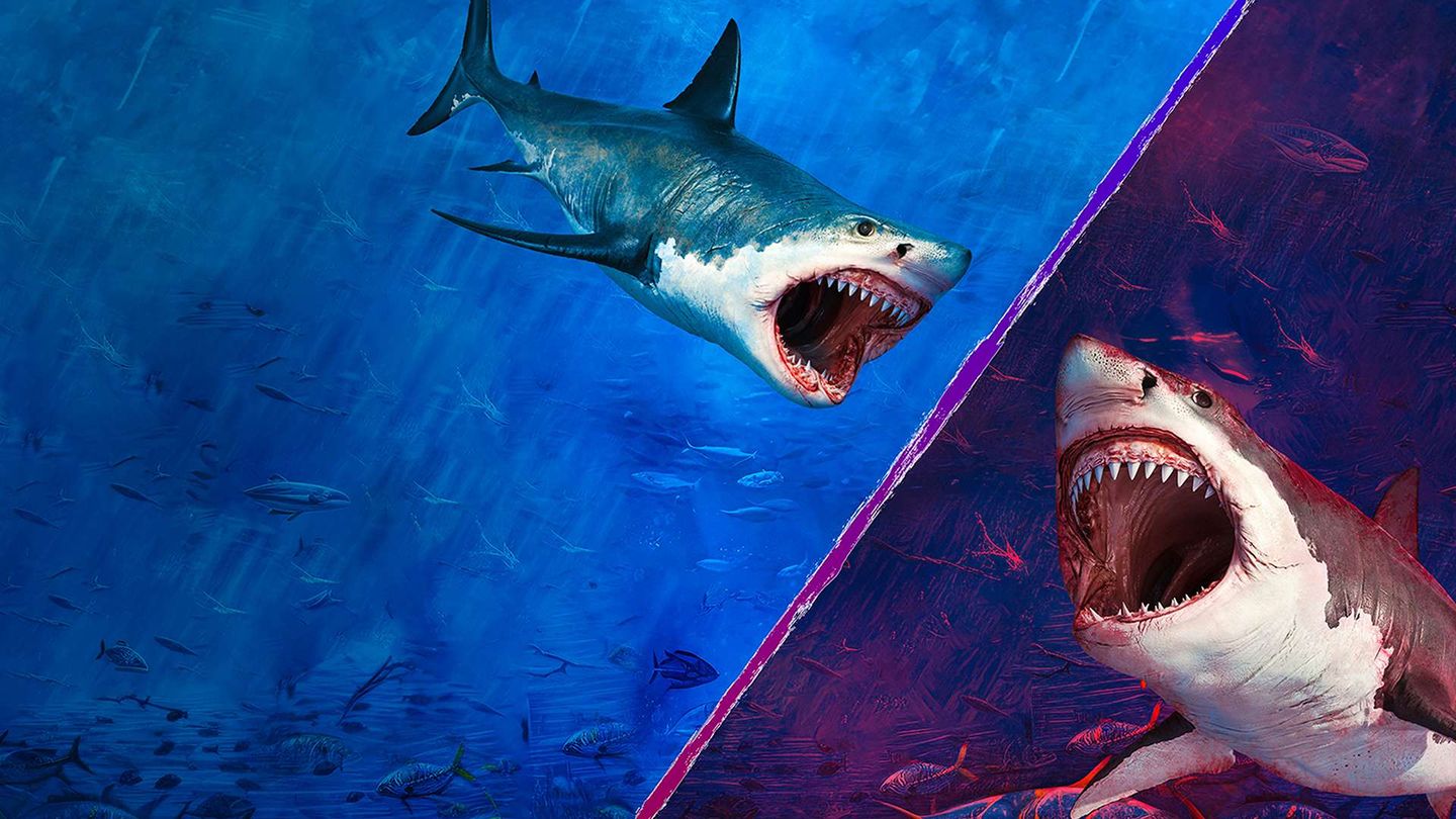 Squalo Contro Megalodonte