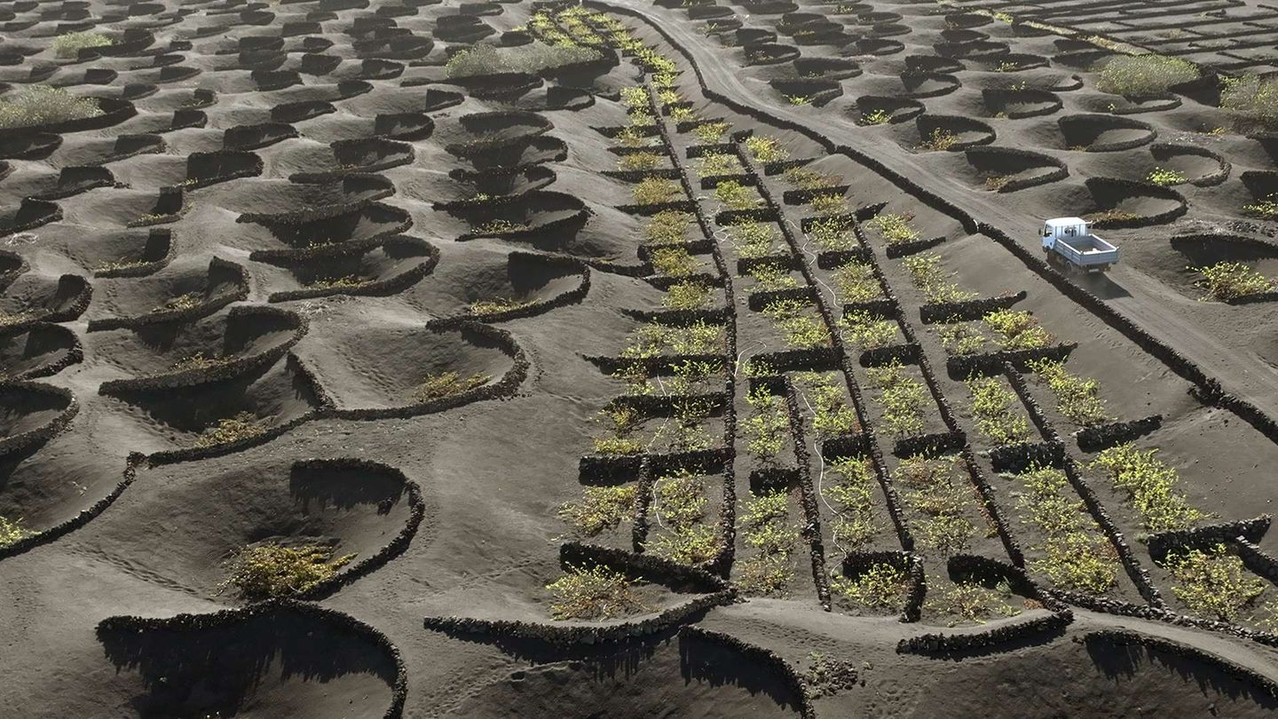 Cose di questo mondo: Spagna