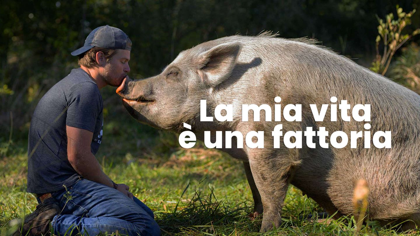 La mia vita è una fattoria