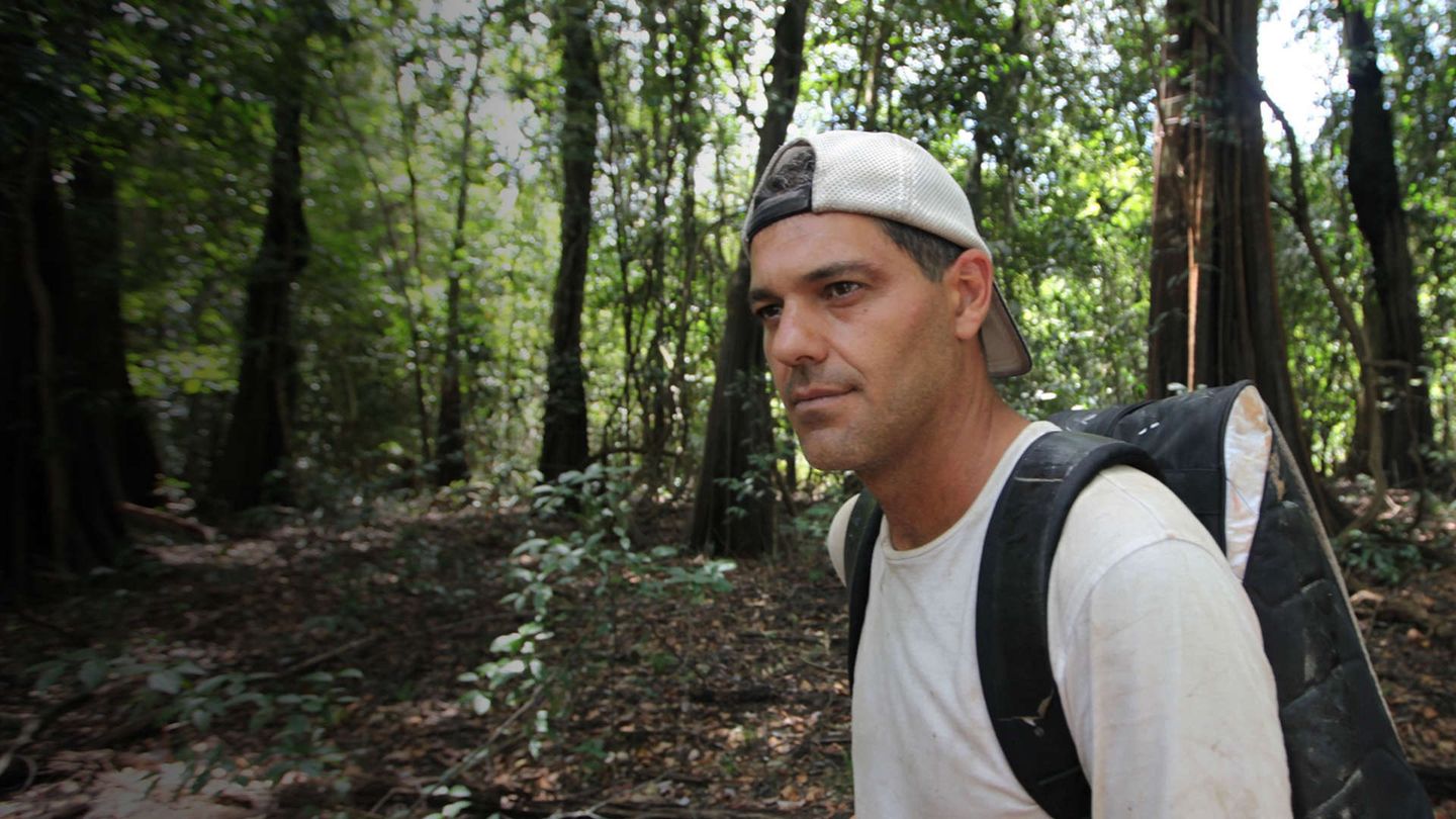 Wild Frank: Back to Africa