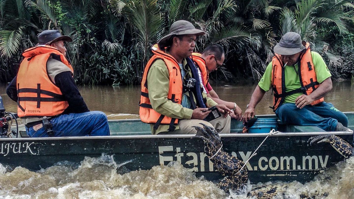 Borneo: paradiso da proteggere