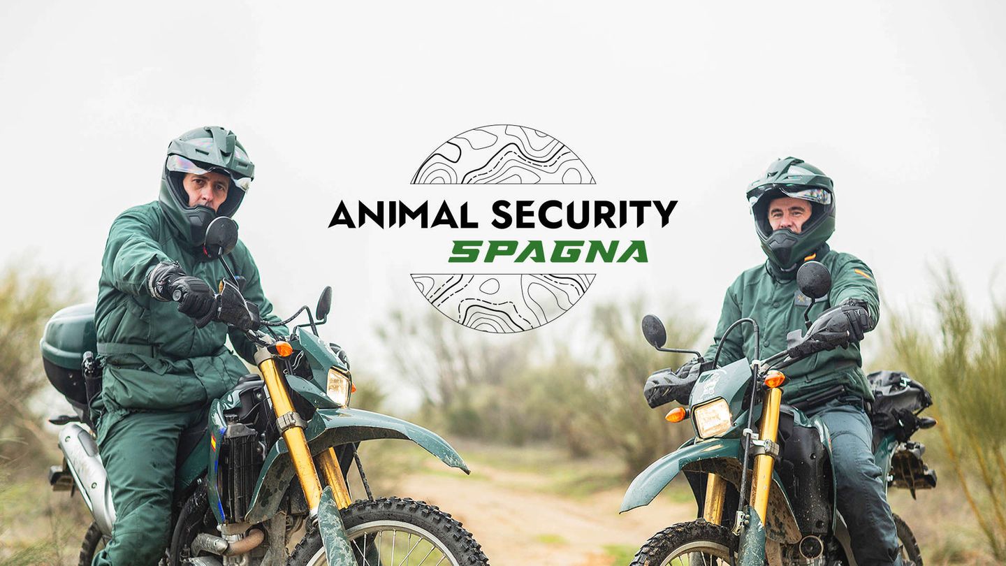 Animal Security: Spagna