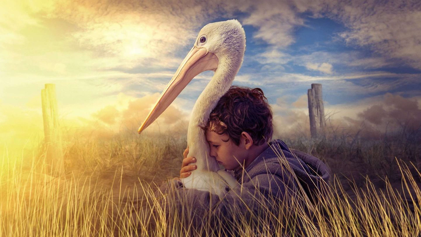 Storm Boy - Il ragazzo che sapeva volare