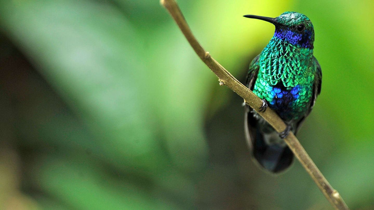 I magici colori della natura