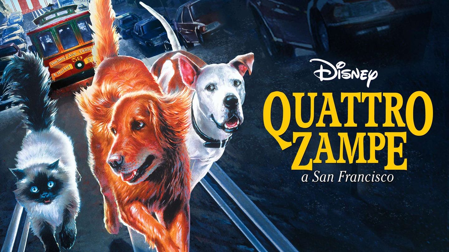 Quattro Zampe a San Francisco