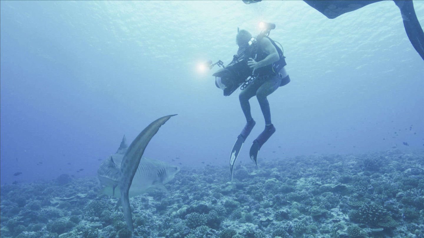 Predatori del Paradiso