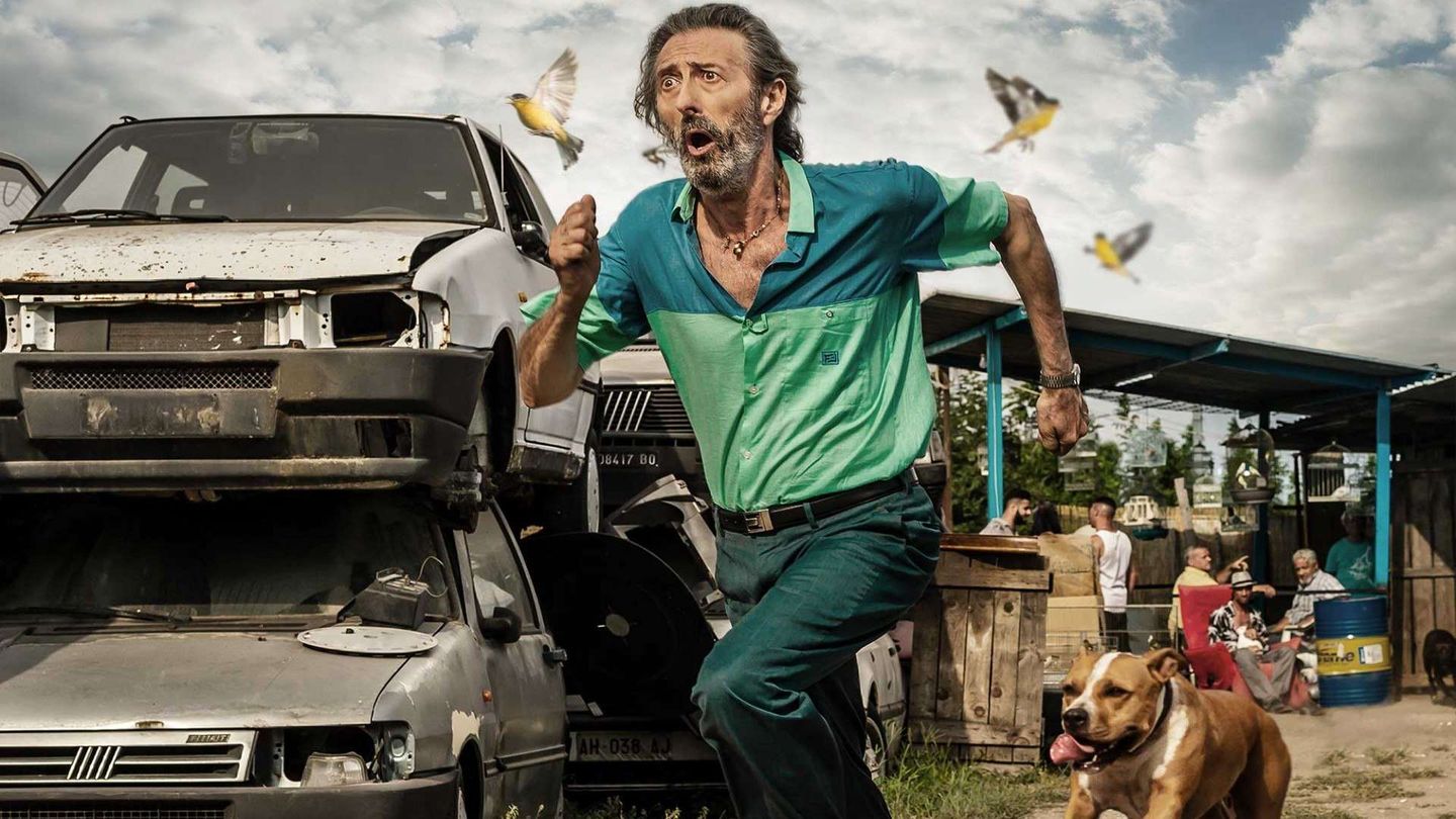 Il ladro di cardellini