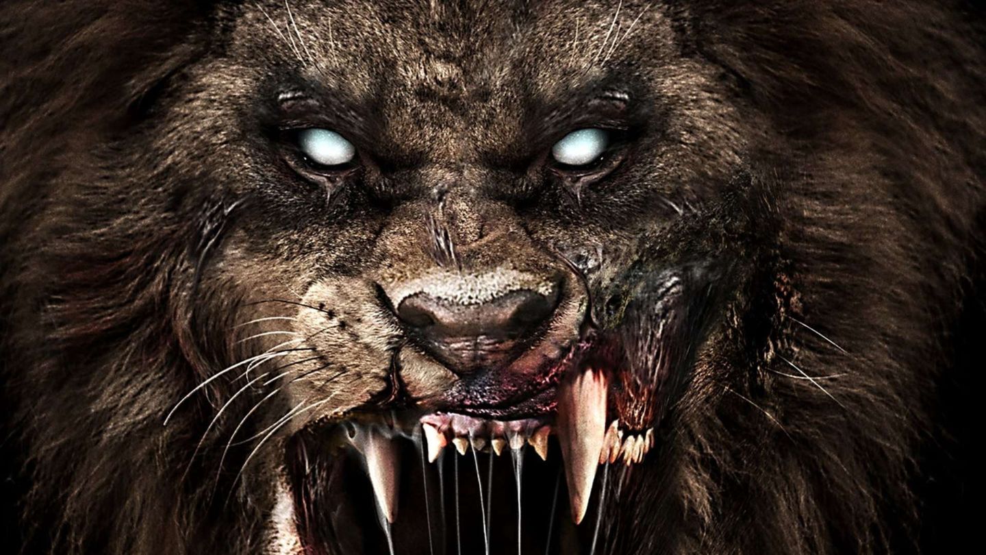 Zoombies