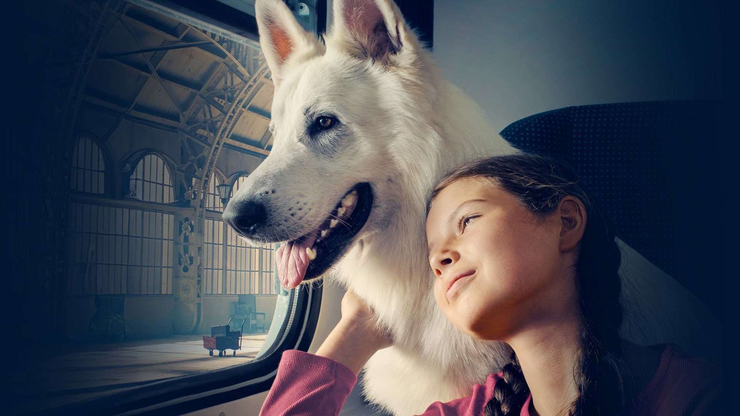 Lampo il cane viaggiatore