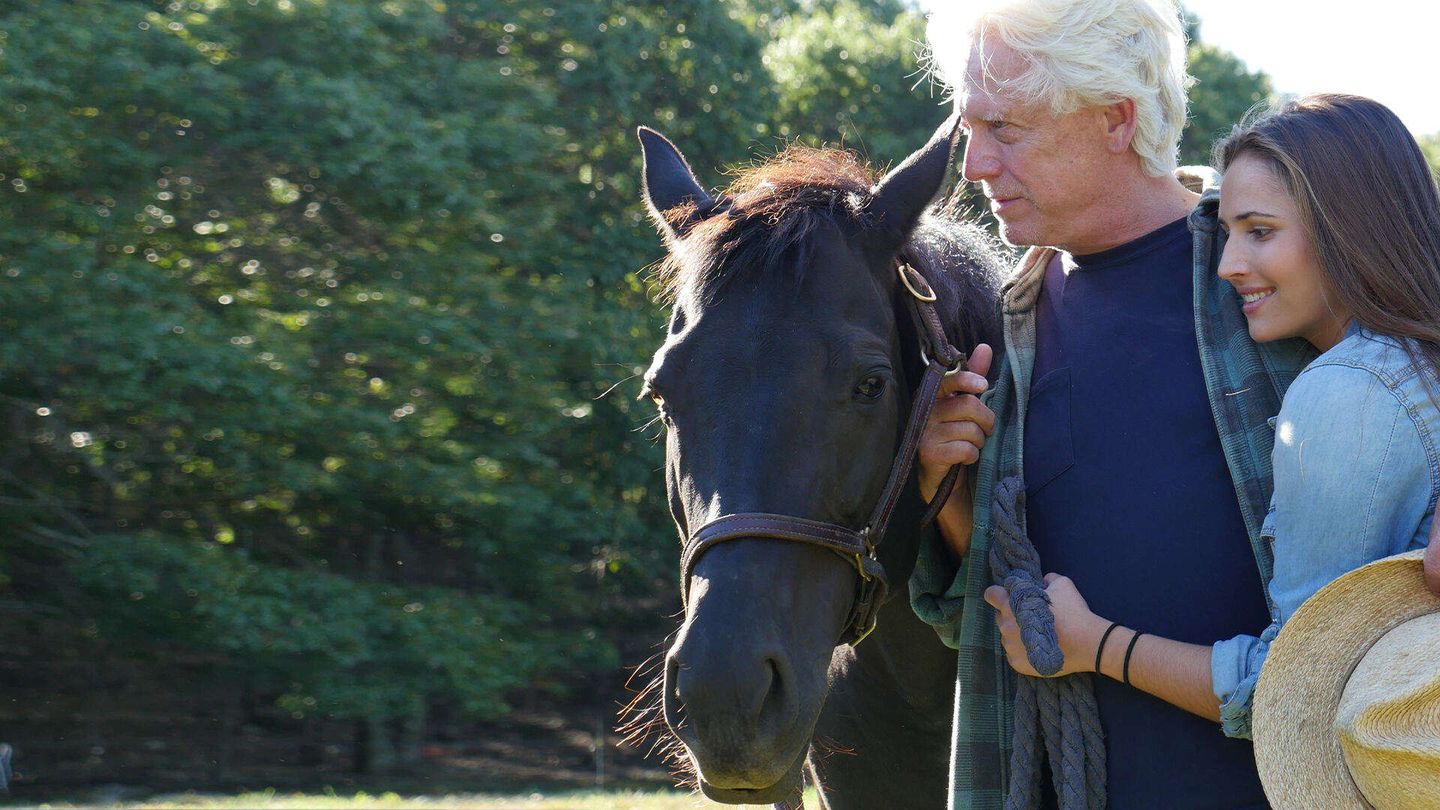 Black Beauty - Una storia di coraggio