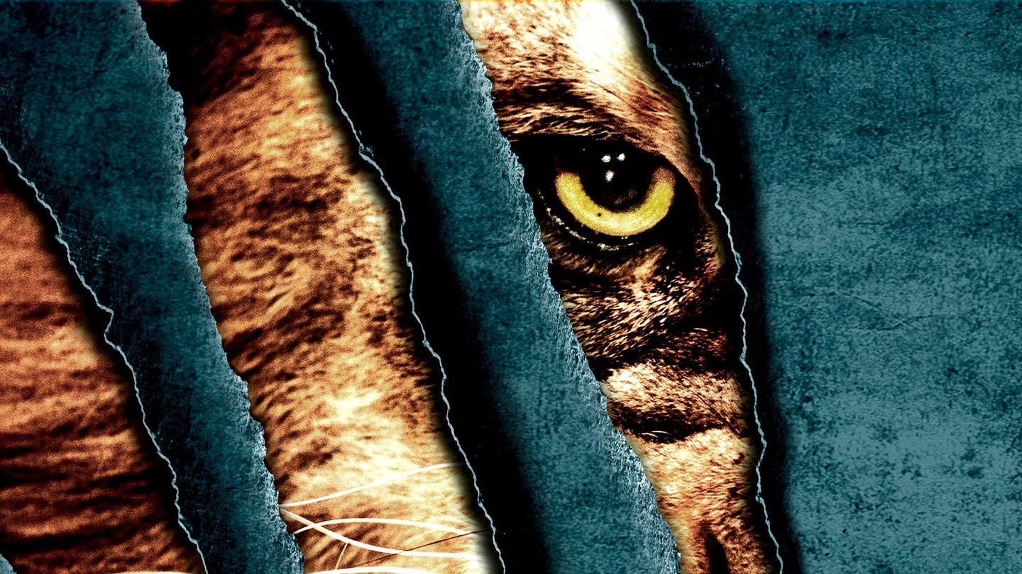Prey - La Preda