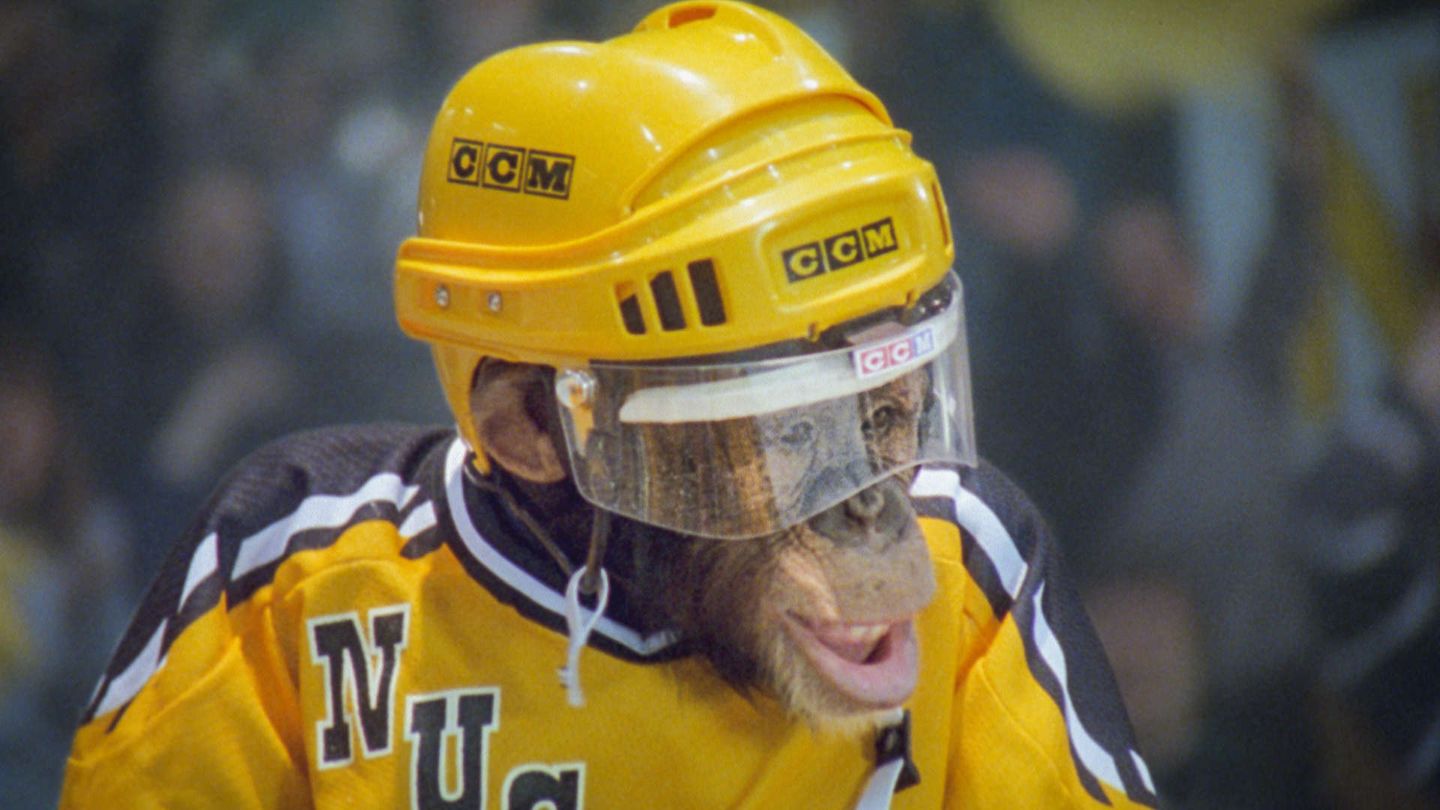 MVP: Most Valuable Primate