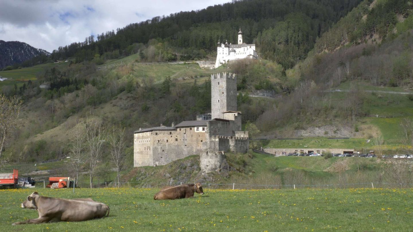 I Ribelli del Cibo