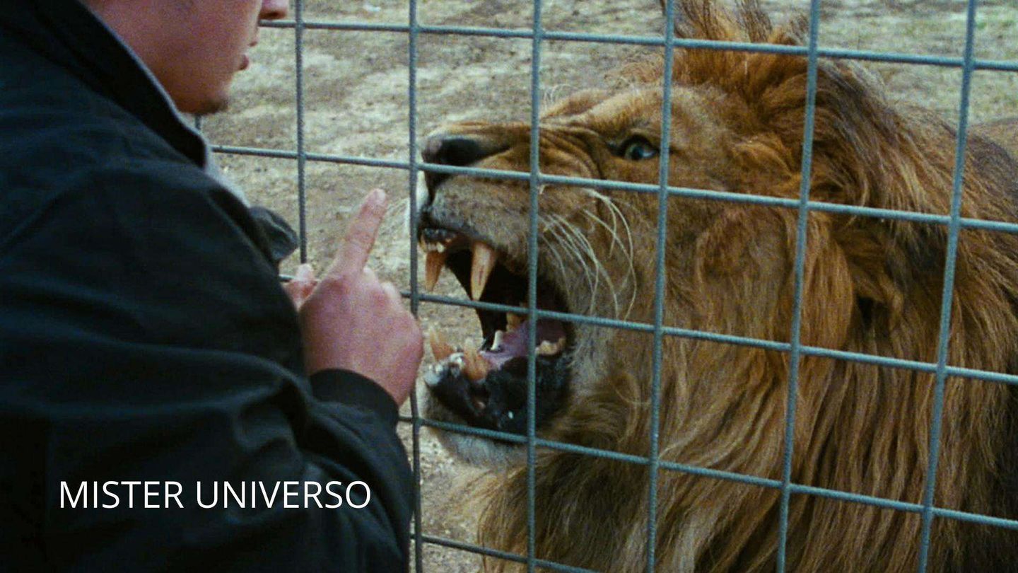 Mister Universo