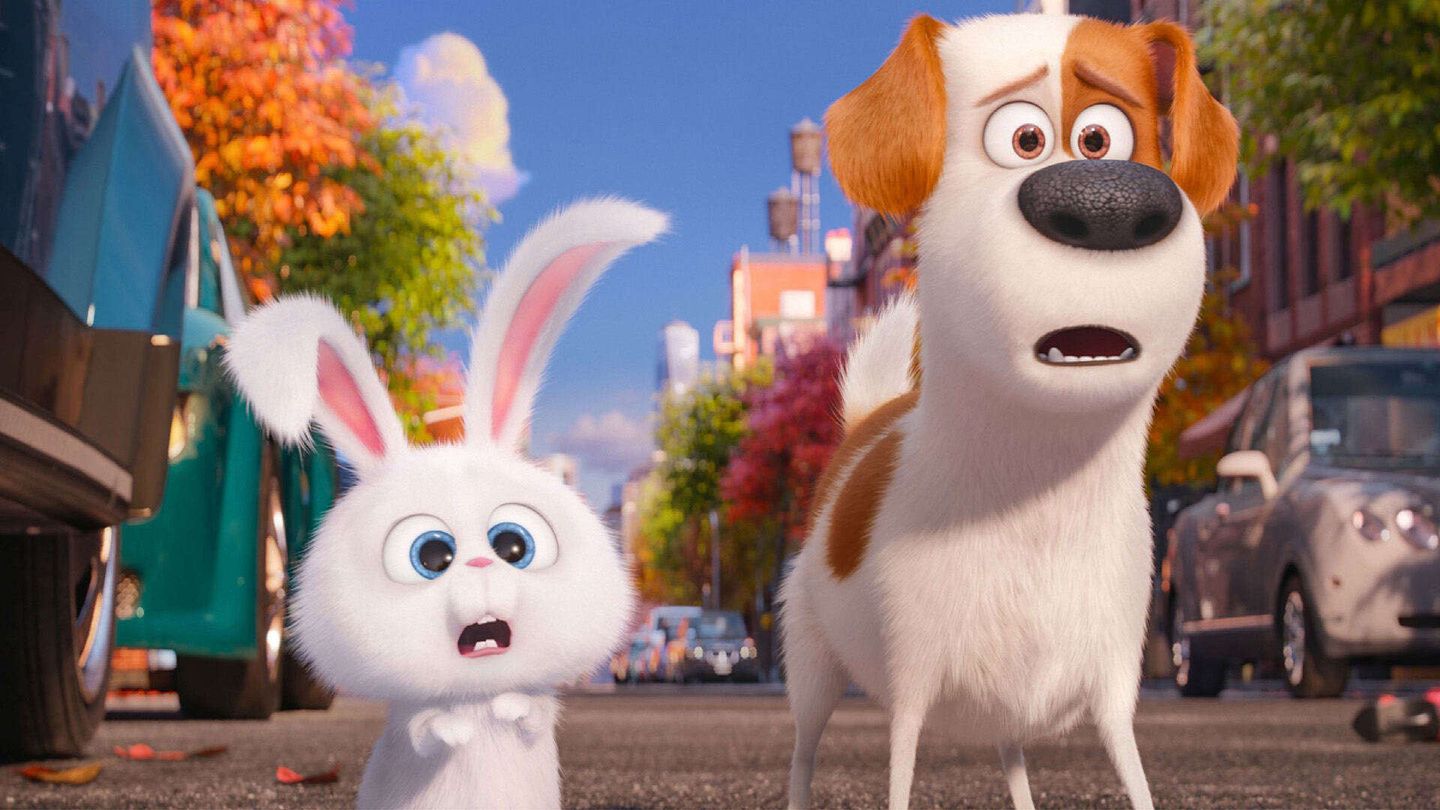 Pets - Vita da animali
