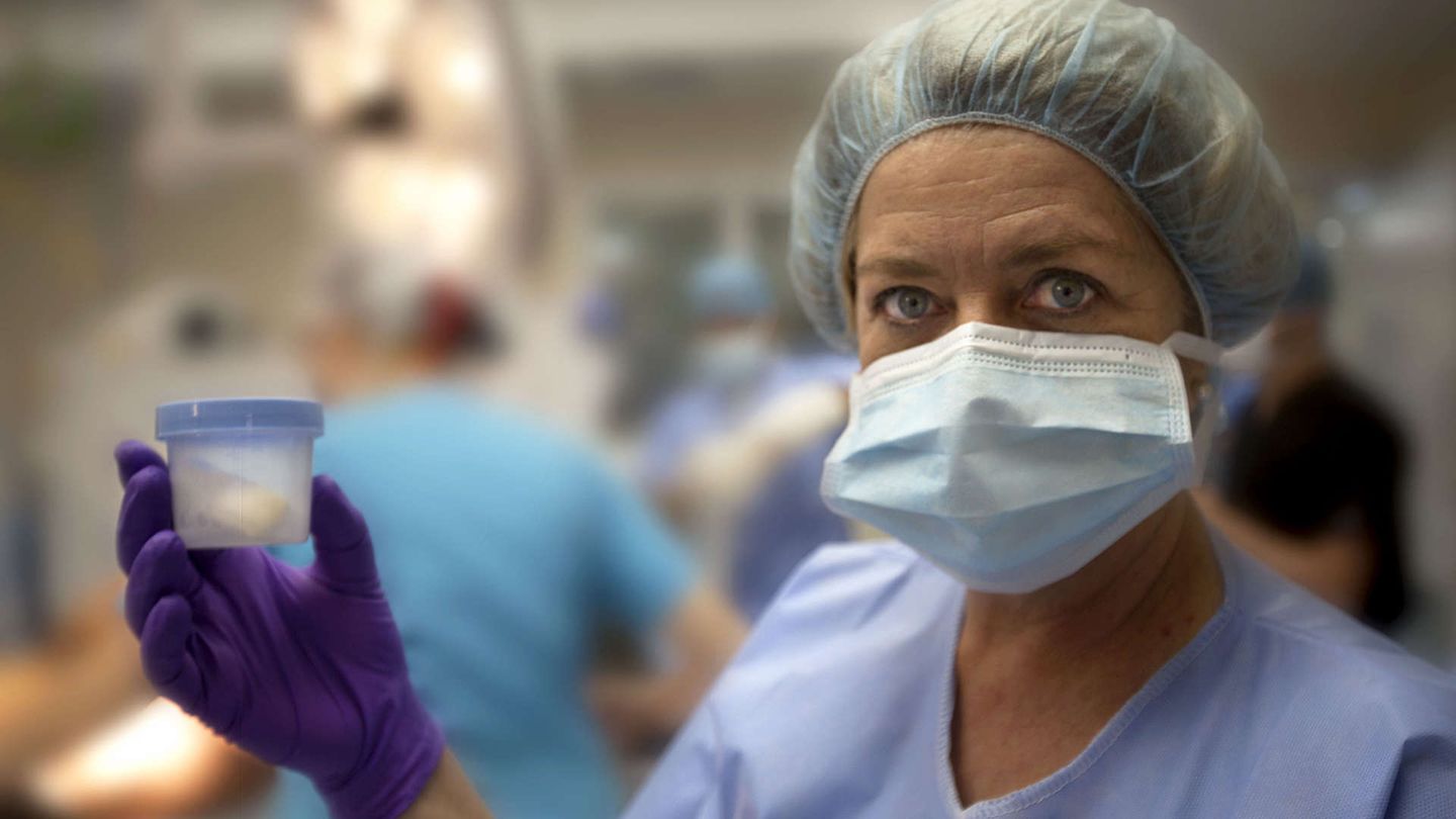 Gli alieni dentro di noi