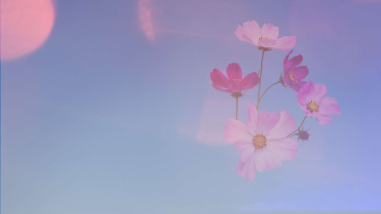 La figlia di un minatore La celebrazione della vita e della musica di Loretta Lynn.