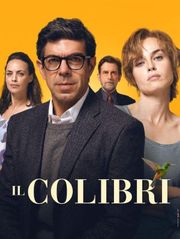 Il colibrì