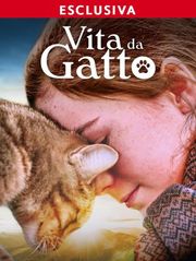 Vita da gatto