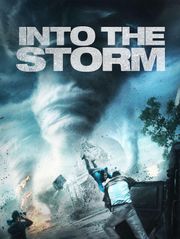 Into the storm