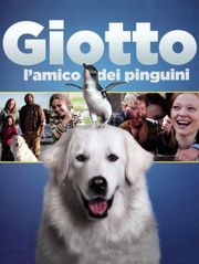 Giotto, l'amico dei pinguini