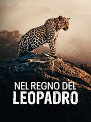 Nel regno del leopardo