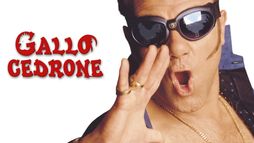 Gallo cedrone