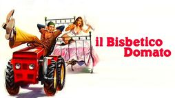 Il bisbetico domato