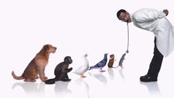 Il Dottor Dolittle