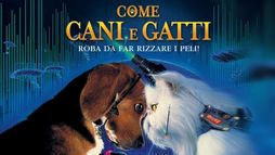 Come cani e gatti