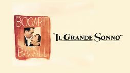 Il grande sonno