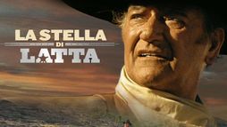 La stella di latta
