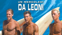 Un mercoledì da leoni