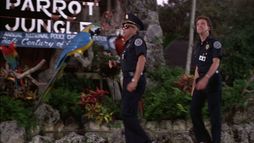 Scuola di Polizia 5: destinazione Miami