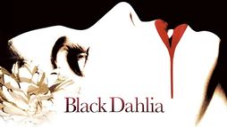 Black Dahlia