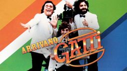 Arrivano i gatti
