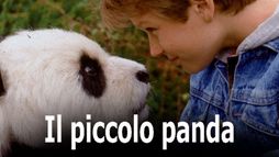 Piccolo panda