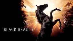 Black Beauty