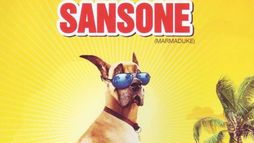 Sansone