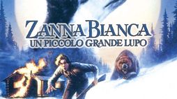 Zanna bianca un piccolo grande lupo