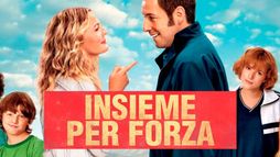 Insieme per forza