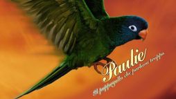Paulie - Il pappagallo che parlava troppo